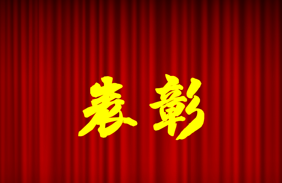 逐光前行、榮耀共鑒 | 公司2024年度表彰來(lái)啦！